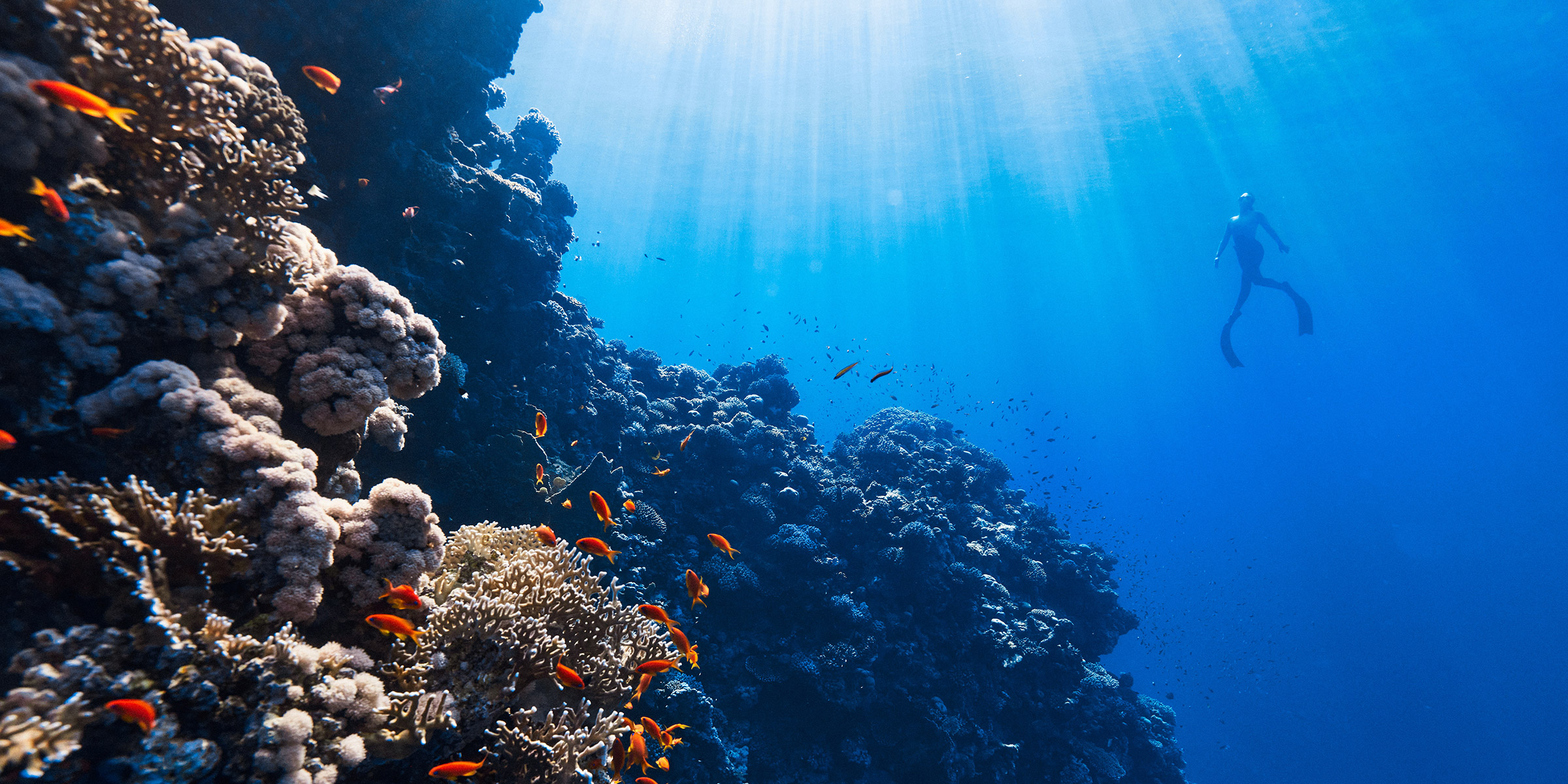 Unforgettable Underwater Excursions
